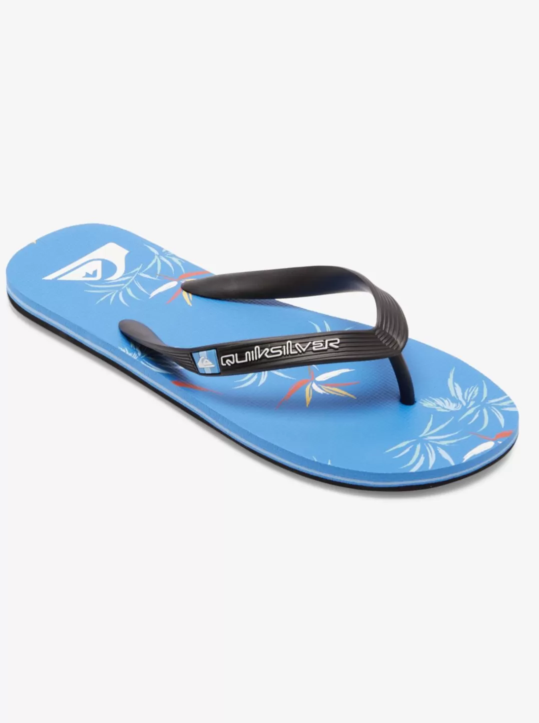Store Molokai Art Gregg Kaplan - Chinelos De Dedo Para Homens Jovens Homem Calcado